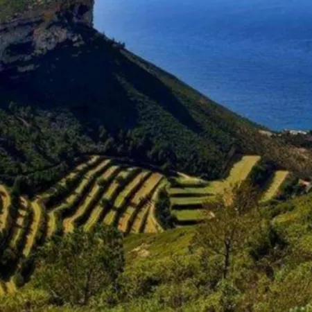 Le Panoramic Vue Mer